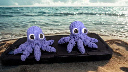 The Braided Articulated Octopus 🐙🌊